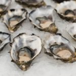 calories in oysters