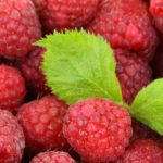 calories in raspberries